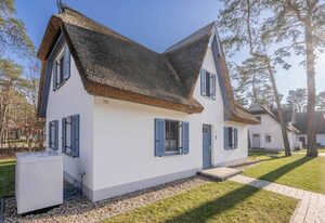 Ferienhaus "Lütten Reet" – Modernes Ferienhaus mit Sauna & Garten – ruhig & komfortabel im Grünen