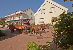Oberlin – 120 qm große Ferienwohnung am Leuchtturm mit Sauna und toller Dachterrasse