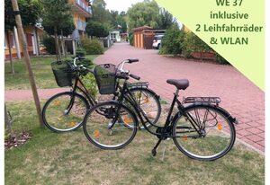 Zempin Ostseepark WE 37 Insel Usedom nur 150m zum Strand – WE 37 Meerjungfrau