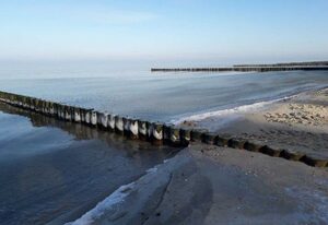 Sommeridyll Zempin – Bungalow Sommeridyll