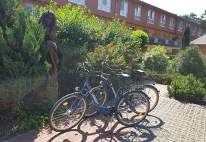 Zempin Ostseepark WE 09 Insel Usedom nur 150m zum Strand – WE 09 Singschwan