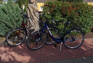 Zempin Ostseepark WE 38 Insel Usedom nur 150m zum Strand – WE 38 Meerlust