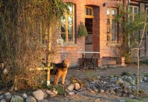 Fewo Elbtalaue Dat-Goepelhus – Fewo 2, groß, 3 Zi.,Neu Garge