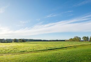 Wiesenblick