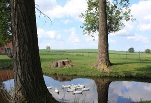 Ferienwohnung Zum süßen Grund