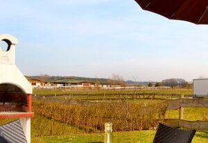 Ferien-HAUS MORGENSONNE