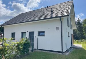 Seemöwe