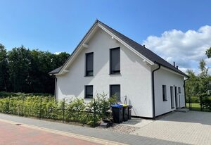 Seemöwe