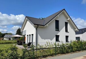 Seemöwe