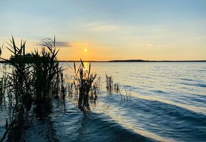 Zweite Heimat l mein Fleesensee