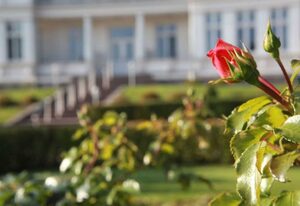 *****Düne25 ++mit MEERBLICK und nur 10m vom Strand++ – Wohnung mit 2 Schlafzimmer und Kamin, App. 3