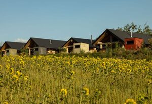Feriendorf Tollensesee – Log Cabins Naturstamm Ferienhaus Tollensesee 10