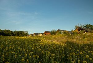Feriendorf Tollensesee – Log Cabins Naturstamm Ferienhaus Tollensesee 10