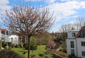 Residenz Bellevue Fewo 33 - Fewo.cc Herrmann – Whg.33, EG, 2-Zimmer, Zinnowitz