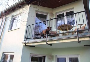Zinnowitz Waldstr 8b Fewo OG