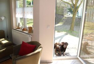 Zinnowitz Waldstr 8b Fewo EG