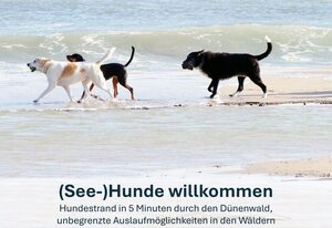 Paradies-Ambiente - strandnah, Sauna, Kamin, hundefreundlich