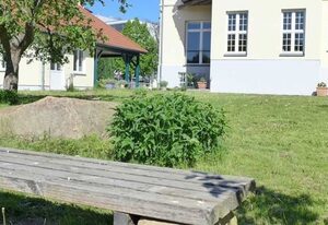 Winfried Schaffer – Martha Marie