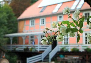 Ferienhaus in einer historischen Wassermühle