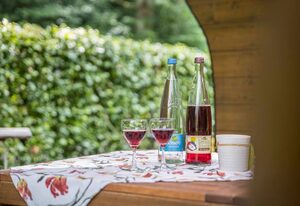 Bienenwagen der Naturheilpraxis Melchger – Bienenwagen, 8qm, 1 Wohn-/Schlafraum, max. 2 Personen