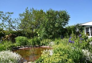 Ferienhaus Amselgarten OFC 03 – Ferienhaus Amselgarten, Terrasse und Garten