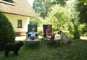 Reetdach Ferienhaus nahe Ostseebad Kühlungsborn – Reetdach Kastanienhaus (52m², 3-Raum, max 4 Pers.)