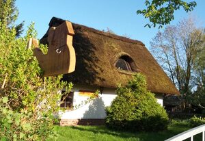 Reetdach Ferienhaus nahe Ostseebad Kühlungsborn – Reetdach Kastanienhaus (52m², 3-Raum, max 4 Pers.)