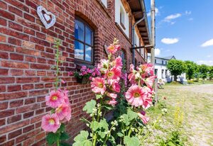 Ostsee Bauernhof Schwalbennest OFC 15 – Nr.4 / Kombibuchung Fewo 1 + 2 mit 5 Schlafzimmern