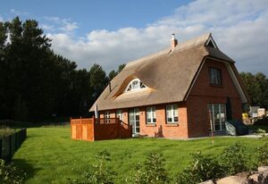 Kleine Seemöwe