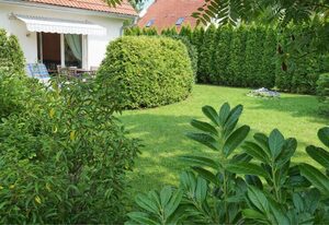 Ferienwohnung Sanddornweg Ostseebad Rerik – 3-Raum-Ferienwohnung (4 Erw.+ 1 Baby, 65m²) Haustier erlaubt
