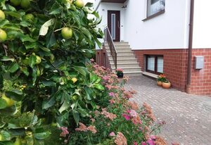 Fewo`s Birkenweg Ostseebad Rerik – 1-Raum-Ferienwohnung (max 2 Pers.) Haustier nicht erlaubt!