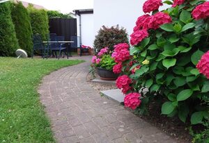 Fewo`s Birkenweg Ostseebad Rerik – 1-Raum-Ferienwohnung (max 2 Pers.) Haustier nicht erlaubt!