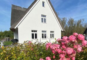 Ferienhaus kleiner Findling
