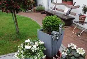 Ferienhaus am Kleinbauernhof Gersdorf bei Kühlungsborn – 3-Raum-Ferienhaus (max 4 Pers, 55m²) mit Gartenterrasse