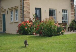 Bauernhofpension Gut Bandelstorf – Uhrenhaus 24