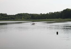 Luxus See - Domizil mit Sauna, Kamin, eigener Seezugang – Ferienhaus Rohrdommel