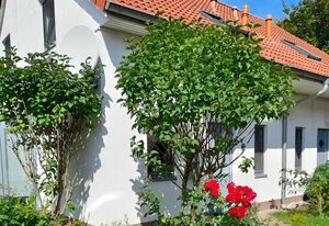 Strandhaus Mari – Ferienhaus Mari