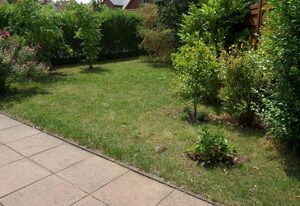 Schwalbennest