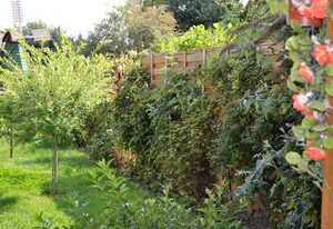Ferienwohnung Gartenblick