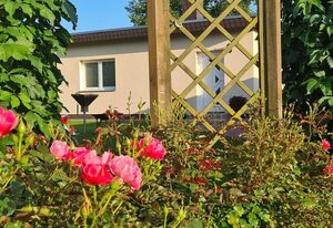 Garten-Ferienhaus Blengow Ostseebad Rerik – 1-Raum-Gartenhaus (48m², 2+1 Personen)