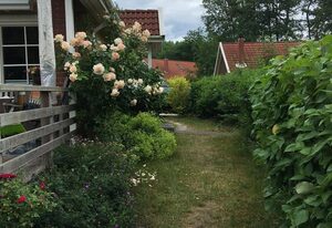 Ferienhaus zum Krakower See ****