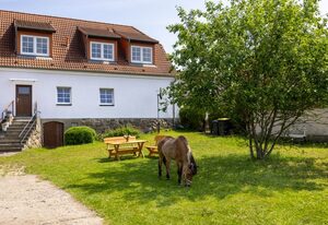 Ferienwohnung FLORI´S PONYHOF OFC 31