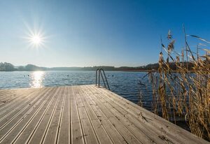 5 Sterne-Naturpark-See-Sauna-Kamin-Hund110m² – Ferienhaus  Silberreiher