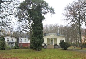 Tarnowskis Villa Seeblick, nur 50m zum Strand, WLAN inkl. – Whg. 8