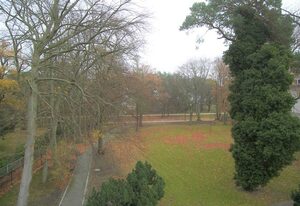 Tarnowskis Villa Seeblick, nur 50m zum Strand, WLAN inkl. – Whg. 8