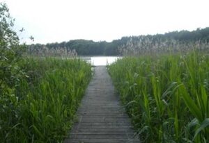 APPEL-HUUS direkt am See