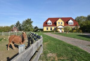 Ferienhof am Leuchtturm mit Meerblick OFC 04 – Kombibuchung Nr.5+6+7 Scheune 12 Pers. / Meerblick und Kamin