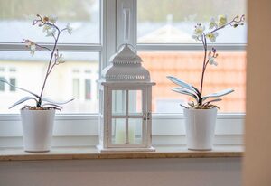 Residenz Unter den Linden Whg. RUL-30