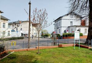 Haus Lucie ***50m bis zum Ostseestrand*** – Ferienwohnung 9, 1O, WLAN, Sitzecke im Garten