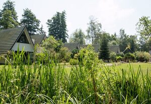 Ein Haus am See - Finnhütten am Schweriner See – Finnhütte am Schweriner See - Haus 4
